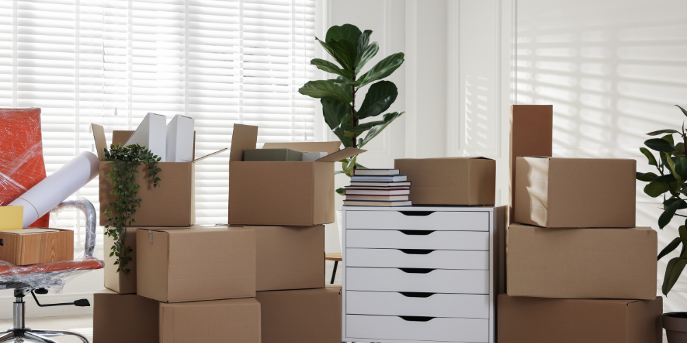 Cajas para Mudanza: Por qué usar cajas de supermercado es una pésima idea